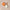 Banner de promoción