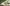 Banner de promoción